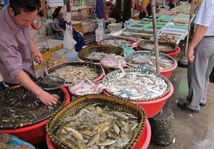 水產品放心吃！多地市場核酸檢測陰性，安全有保障